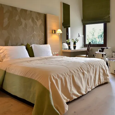 Hotel Forest Boutique Mega Chorio