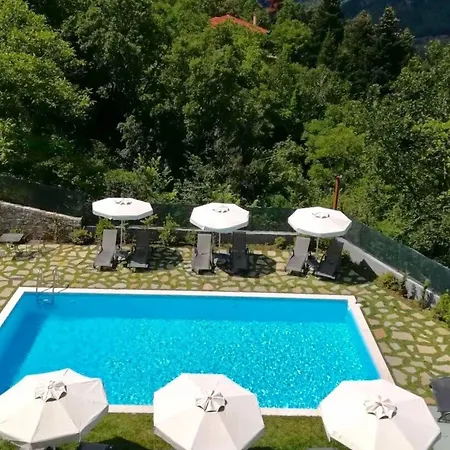 Hotel Forest Boutique 3*