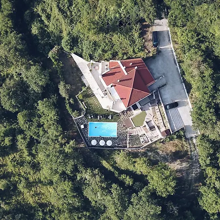 Forest Boutique Mega Chorio