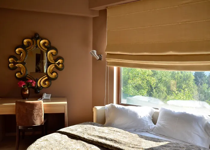 Ξενοδοχείο Forest Boutique Mega Chorio