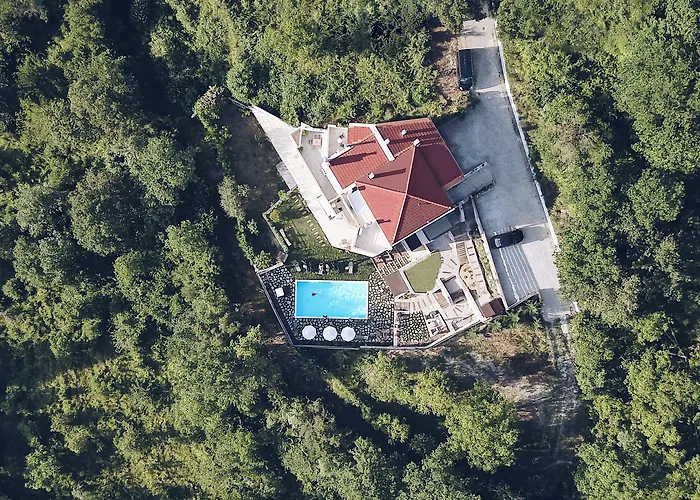 Forest Boutique Mega Chorio